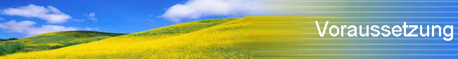 Voraussetzung